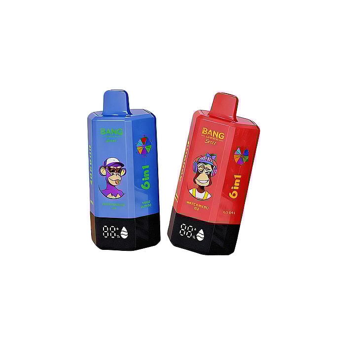 bang leader 300000 300k puffs wholesale disposable vape