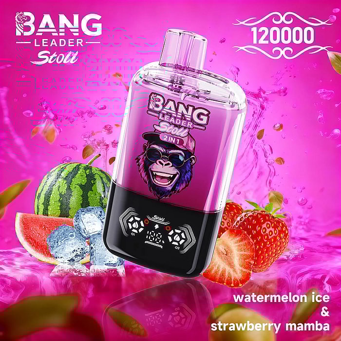 bang leader stoll 120k 120000 puffs wholesale disposable vape