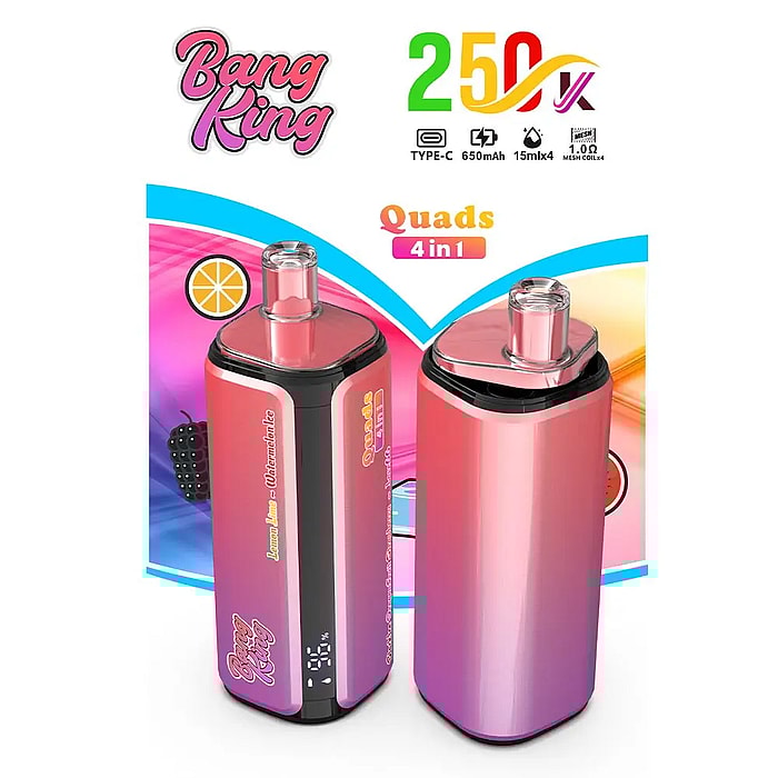 bang king 250000 250k パフ卸売使い捨てベープ