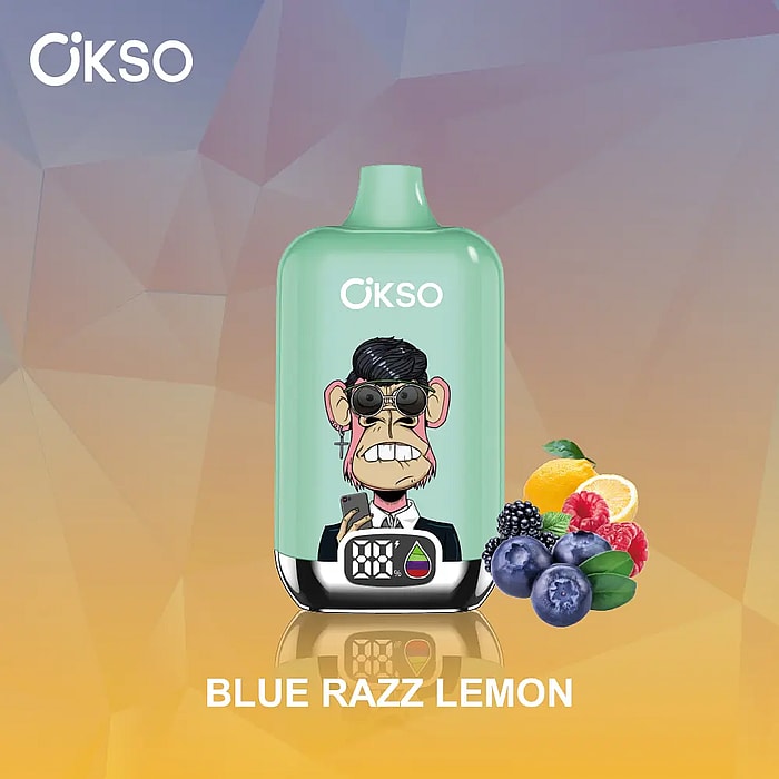 okso digitale doos 12000 trekjes groothandel wegwerpvape